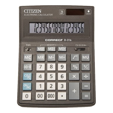 CITIZEN D-316
